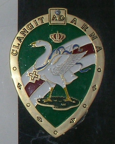 нак на доме сиенского контрадо «Гусь»